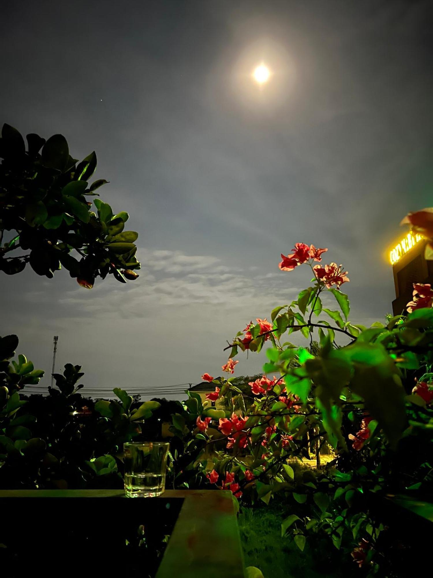 Tam Coc Golden Sun Villa Vu Lam Dış mekan fotoğraf